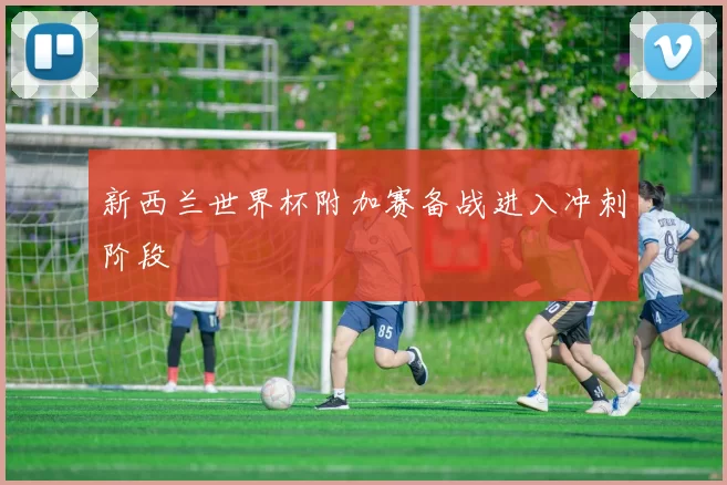 新西兰世界杯附加赛备战进入冲刺阶段