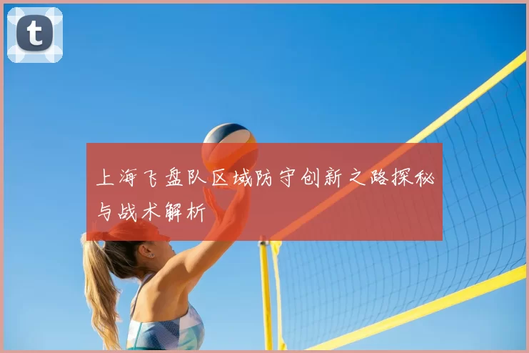上海飞盘队区域防守创新之路探秘与战术解析