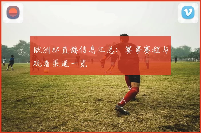 欧洲杯直播信息汇总:赛事赛程与观看渠道一览