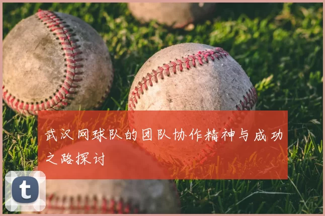武汉网球队的团队协作精神与成功之路探讨