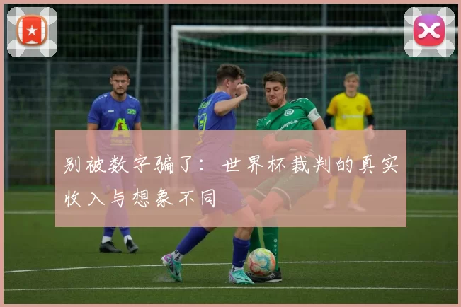 别被数字骗了：世界杯裁判的真实收入与想象不同