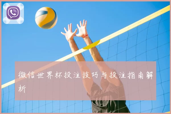 微信世界杯投注技巧与投注指南解析