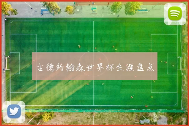 古德约翰森世界杯生涯盘点