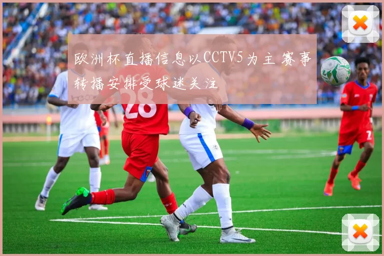 欧洲杯直播信息以CCTV5为主 赛事转播安排受球迷关注