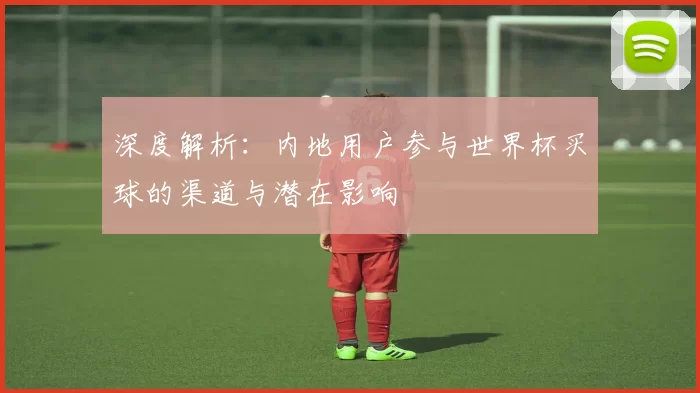 深度解析：内地用户参与世界杯买球的渠道与潜在影响