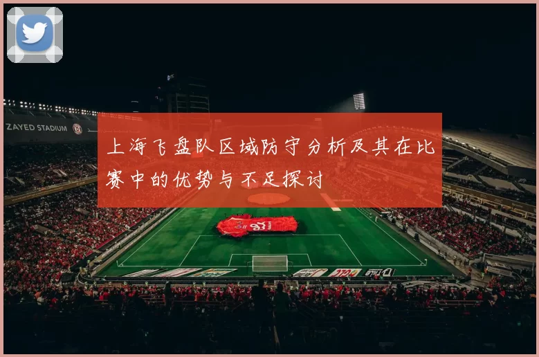 上海飞盘队区域防守分析及其在比赛中的优势与不足探讨